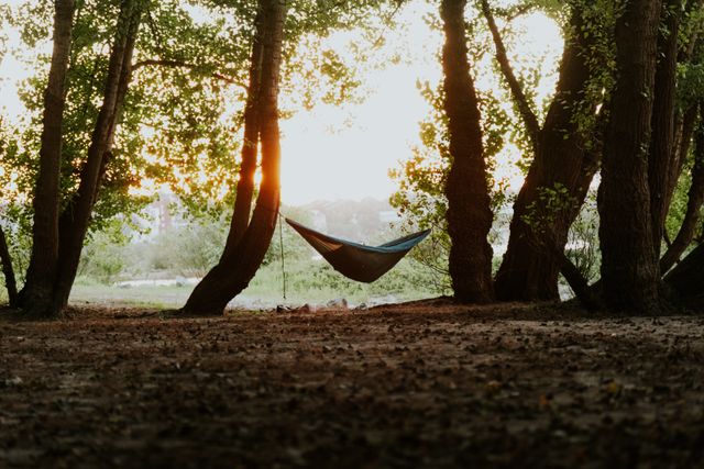 Hammock - Foto oleh Jonas Horsch dari Pexels