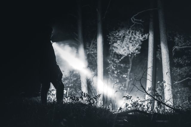 Senter di hutan - Foto oleh Marek Piwnicki dari Pexels